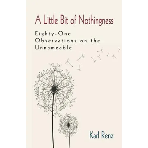 A Little Bit of Nothingness - Paperback
