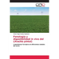 Fenología y digestibilidad in vivo del (Arachis pintoi) - Paperback