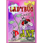 The Ladybug and the Ant: (Friendship & Social Skills, Stepfamilies, Preschool, growing up & facts of life, Friendship Books For Children, Famil - Paperback