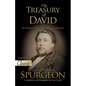 The Treasury of David: An Exposition of the Book of Psalms Volume 1 Psalms 1-17 - Paperback