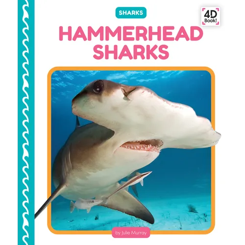 Hammerhead Sharks - Library Binding