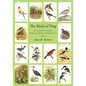 The Birds of Dog: An Historical Novel Based on Mostly True Events - Paperback