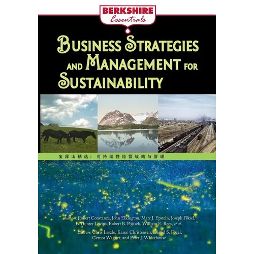 Business Strategies and Management for Sustainability - Paperback