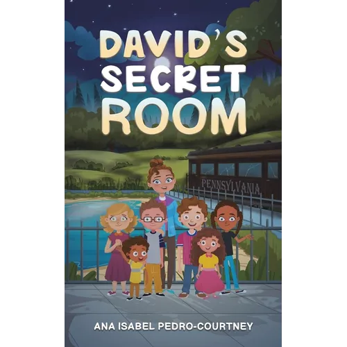 David's Secret Room - Paperback