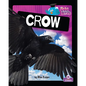 Crow - Hardcover