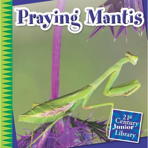 Praying Mantis - Paperback