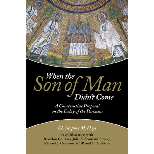 When the Son of Man Didn't Come - Paperback