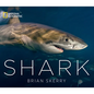 Shark - Hardcover