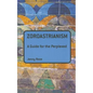Zoroastrianism: A Guide for the Perplexed - Paperback