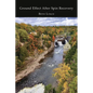 Ground Effect After Spin Recovery - Paperback