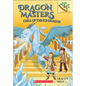 Chill of the Ice Dragon - Hardcover