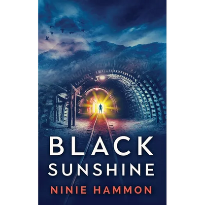 Black Sunshine - Paperback