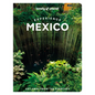 Lonely Planet Experience Mexico - Paperback