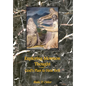 Exploring Mormon Thought: God's Plan to Heal Evil - Hardcover