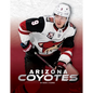 Arizona Coyotes - Paperback