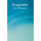 Imagination - Paperback