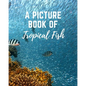 A Picture Book of Tropical Fish: Activity Books for Seniors With Dementia- Gift Book for Seniors With Alzheimer's in Large Print - Paperback