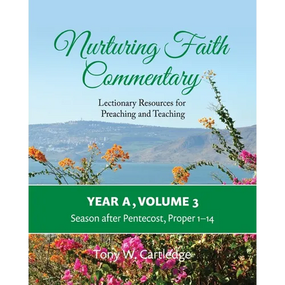 Nurturing Faith Commentary, Year A, Volume 3: Lectionary Resources for Preaching and Teaching-Season after Pentecost: Proper 1-14 - Paperback