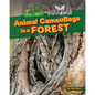 Animal Camouflage in a Forest - Paperback