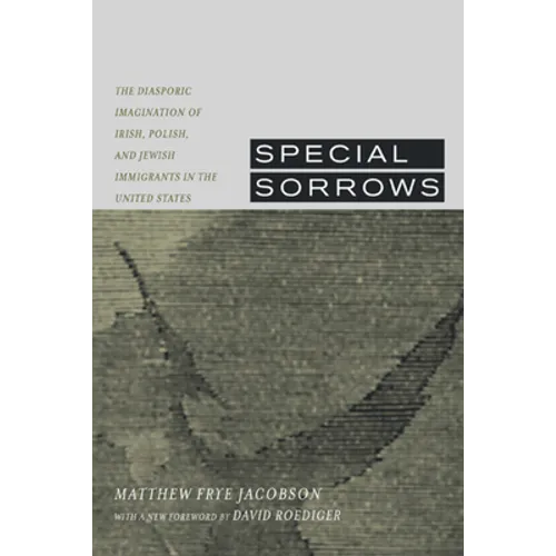 Special Sorrows: The Diasporic Imagination of Irish, Polish, and Jewish Immigrants in the United States - Paperback
