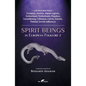 Spirit Beings in European Folklore 2: 228 descriptions - Germany, Austria, Alpine regions, Switzerland, Netherlands, Flanders, Luxembourg, Lithuania, - Paperback