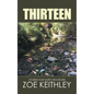 Thirteen: Stories for Earth Travelers - Hardcover