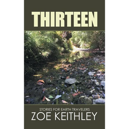 Thirteen: Stories for Earth Travelers - Hardcover