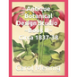 Antique Botanical Design Studio Book II Circa 1837-38 - Paperback