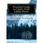 Practical Guide to Utah's Wild Edible Plants: A Survival Handbook - Paperback