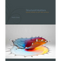 Structural Intuitions: Seeing Shapes in Art and Science - Hardcover