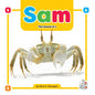 Sam: The Sound of S - Paperback