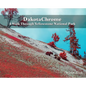 DakotaChrome: A Walk Through Yellowstone National Park - Hardcover