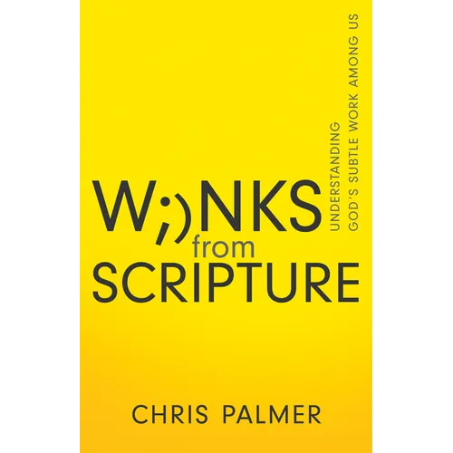 Winks from Scripture: Understanding God's Subtle Work Among Us - Paperback