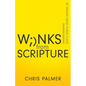 Winks from Scripture: Understanding God's Subtle Work Among Us - Paperback