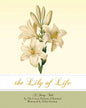 The Lily of Life: A Fairy Tale - Paperback