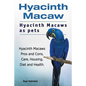 Hyacinth Macaw. Hyacinth Macaws as pets. Hyacinth Macaws Pros and Cons, Care, Housing, Diet and Health. - Paperback