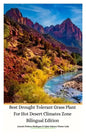 Best Drought Tolerant Grass Plant For Hot Desert Climates Zone Bilingual Edition Hardcover Version - Hardcover