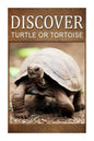 Turtle Or Tortoise - Discover: Early reader's wildlife photography book - Paperback
