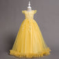 Flower Girl Wedding Dress Princess Skirt Lace Embroidered Long Style