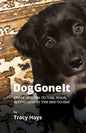 Dog Gone It: From Trauma to Tail-Wags, Seeing God in the Day-to-Day - Paperback