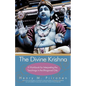 The Divine Krishna: A Workbook for Interpreting the Teachings in the Bhagavad Gita - Paperback