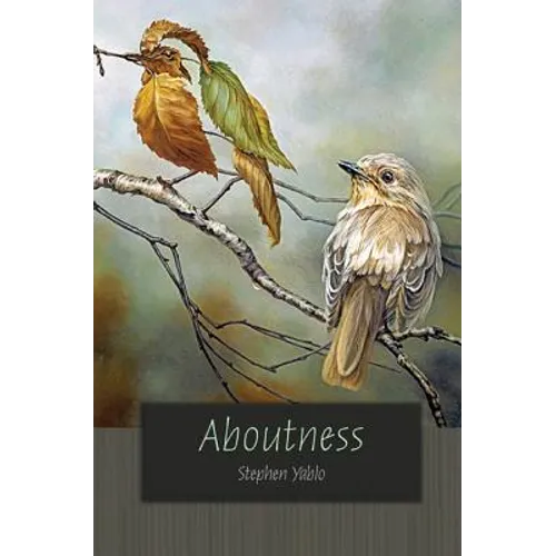 Aboutness - Paperback