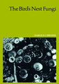 The Bird's Nest Fungi - Paperback