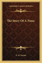 The Story Of A Panic - Paperback