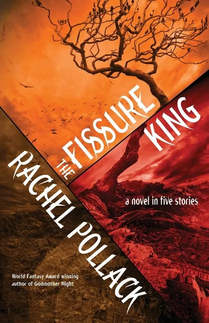 The Fissure King: A Novel in Five Stories - Paperback