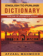 English - Punjabi Dictionary - Paperback