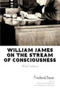 William James on the Stream of Consciousness: All the Evidence - Paperback