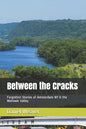 Between the Cracks: Forgotten Stories of Amsterdam NY & the Mohawk Valley - Paperback