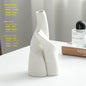 Nordic Creative Ceramic Double Vase Living Room Decoration Dried Flower