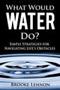 What Would Water Do?: Simple Strategies for Navigating Life's Obstacles - Paperback